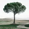 floraholtland - @floraholtland - TikTok