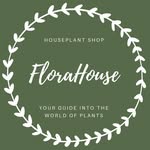 Растения в кашпо с автополивом - @florahouse_msk - Instagram