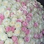 Flora_House🏆 - @flora_house_ - Instagram