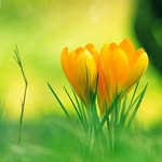 FLORA HOUSE - @the_flora_house - Instagram