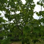 Flora_House - @flora_house__ - Instagram