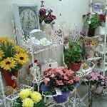 @flora_house - Instagram