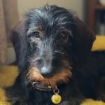 Flora Hurst - @flora_we_adore_her - Instagram