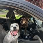 Flora Jacobs - Facebook
