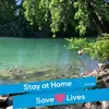 florakwang1 - @florakwang1 - TikTok