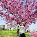 Flora Lam - @lamflora - Instagram
