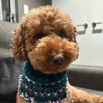 Flora Lam - @chiechieknits - Instagram