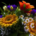 ЦВЕТЫ💐 ДОСТАВКА🚘 СОЛИГОРСК - @floralandia_by - Instagram