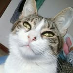 Flora - @floralandia15 - Instagram
