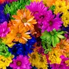 Floralandia_by - @floralandia_by - TikTok