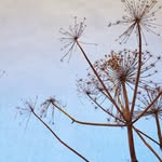 Bernhard Reingruber - @florale_aesthetik - Instagram