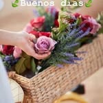 Flora Leyva - @flora.leyva.7 - Instagram
