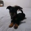 Maria de los angeles - @floramadrigal87 - TikTok