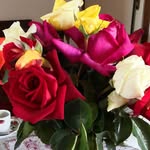Nardi Flora Dajti - @nardiflora - Instagram