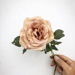 Mt Newton Floral - @mtnewtonfloral - Instagram