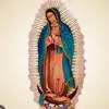 Flora Noel Astudillo - @flora.noel.astudi - TikTok