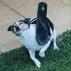 flora.nailst-North houston TX - @flora.nailst - TikTok