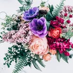 Northwoods Flora - @northwoodsflora - Instagram