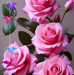 Flora Nuñez - Facebook