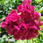 Flora Ochoa Guzman - @heisk_w17 - Instagram