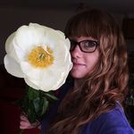 Rosie O'Connor Floral Design - @oconnorfloraldesign - Instagram