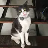 user3981236015154 - @profloraconnor - TikTok