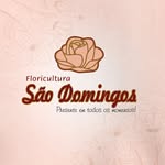Floricultura São Domingos - @floriculturasaodomingos - Instagram