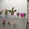 Flora - @floraolivas31 - TikTok