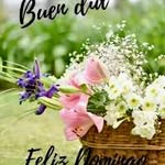 Flora Olivas - @flora.olivas.505 - Instagram
