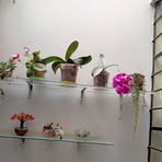 Flora Olivas - Facebook
