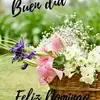 floraolivas7 - @floraolivas7 - TikTok