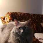 Flora Oliver - Facebook