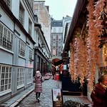Royal | Flora | Oliver | Zillah | Skye - @nicole.oliveira.3 - Instagram