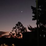 Flora - @flora_osorio3 - Instagram