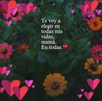 Flora Osorio - Facebook