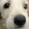 Flora Osorio - @floraosorio2 - TikTok