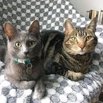 Cocò • Lili • Flora • Otto - @coco.lili.flora.otto - Instagram