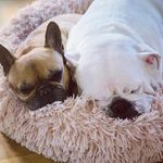 Otto, Peppe & Flora - @ottopeppeochflora - Instagram