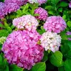 florapabon993 - @florapabon993 - TikTok