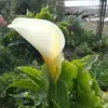 Flora Paredes - @flora.paredes3 - TikTok