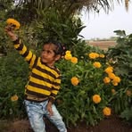Flora Patel - Facebook