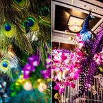 @floral_peacock - Instagram