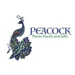 Peacock - @peacock_floral - Instagram