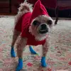 💞💓💗 Penny 💗💓💞 - @penny.flora6 - TikTok