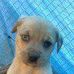 Flora Pennington - Facebook