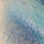 Flora Pickett - @florapickett4 - Instagram