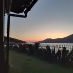 Flora - @flora_pina_ - Instagram