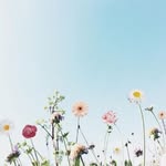 Flora Pin - @florapinapun - Instagram
