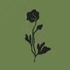 floralpostco - @floralpostco - TikTok