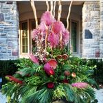 Pandora Potts - @pandora_potts_floral_designs - Instagram
